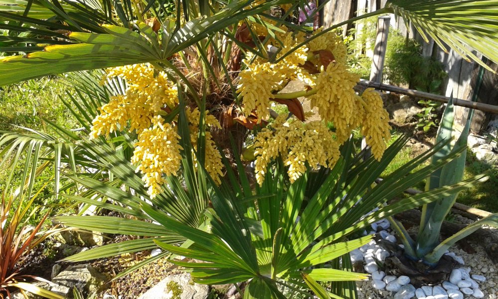 20160523_095405.jpg