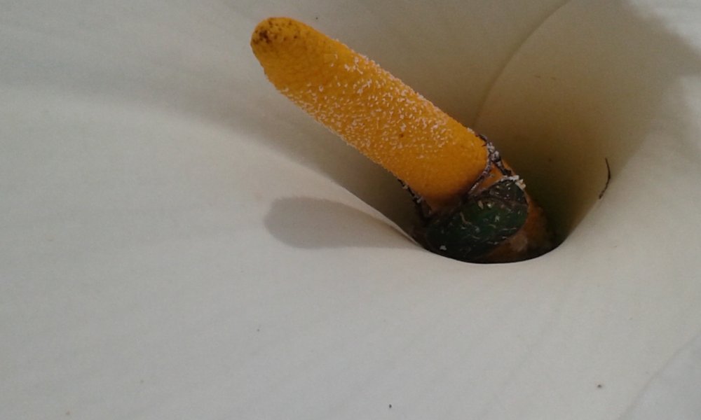 20160519_114318.jpg