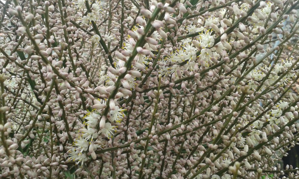 20160530_161956.jpg