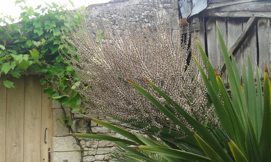 20160530_162129.jpg