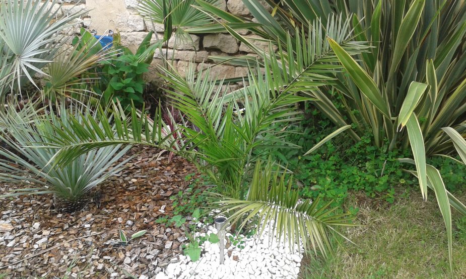 20160530_162106.jpg