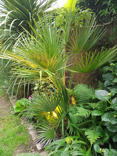 Jardin 31052016 (13).jpg