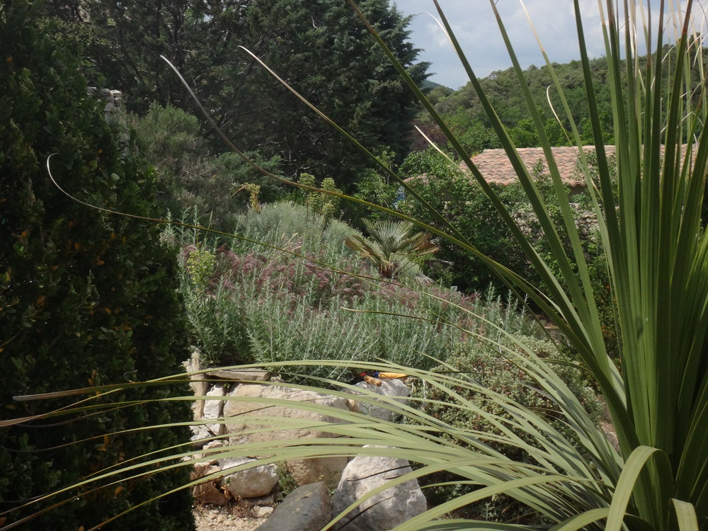 Vue de l'emplacement AVANT.JPG