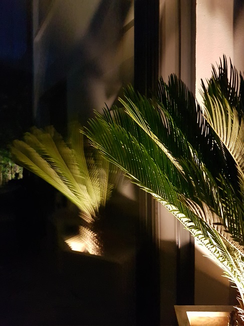 Jardin de nuit 08062016 (15).jpg