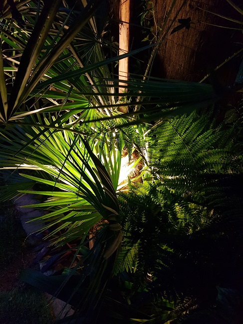 Jardin de nuit 08062016 (2).jpg