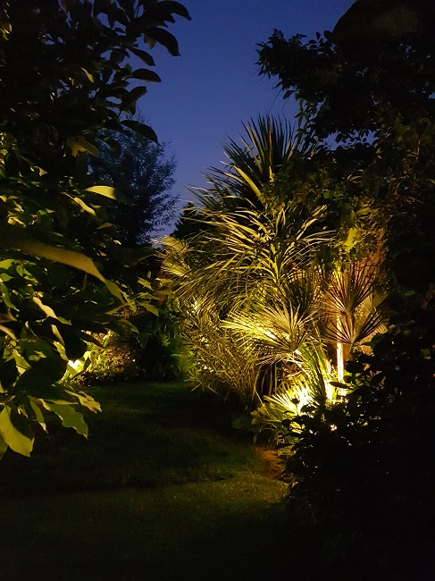 Jardin de nuit 08062016 (12).jpg