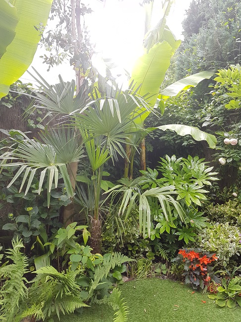 Jardin 06062016 (13).jpg