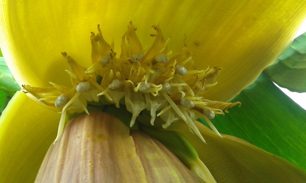 20160603_120624.jpg