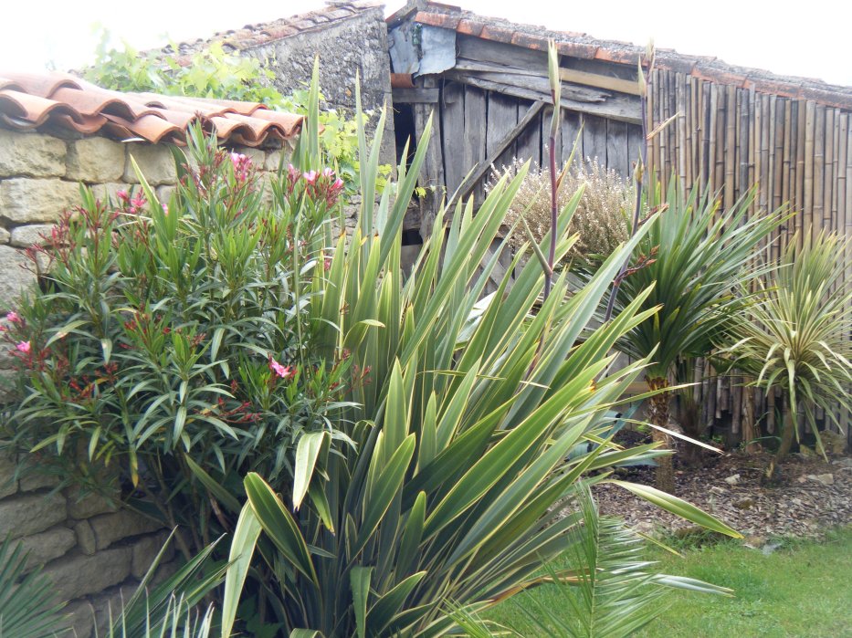 dscf4501.jpg