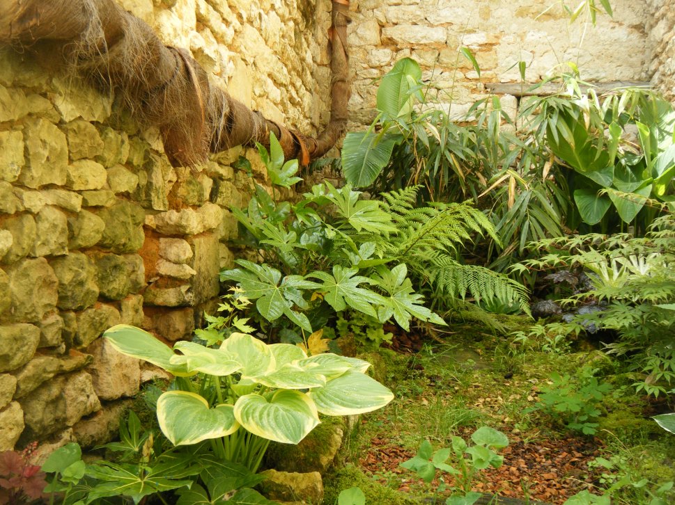 dscf4493.jpg