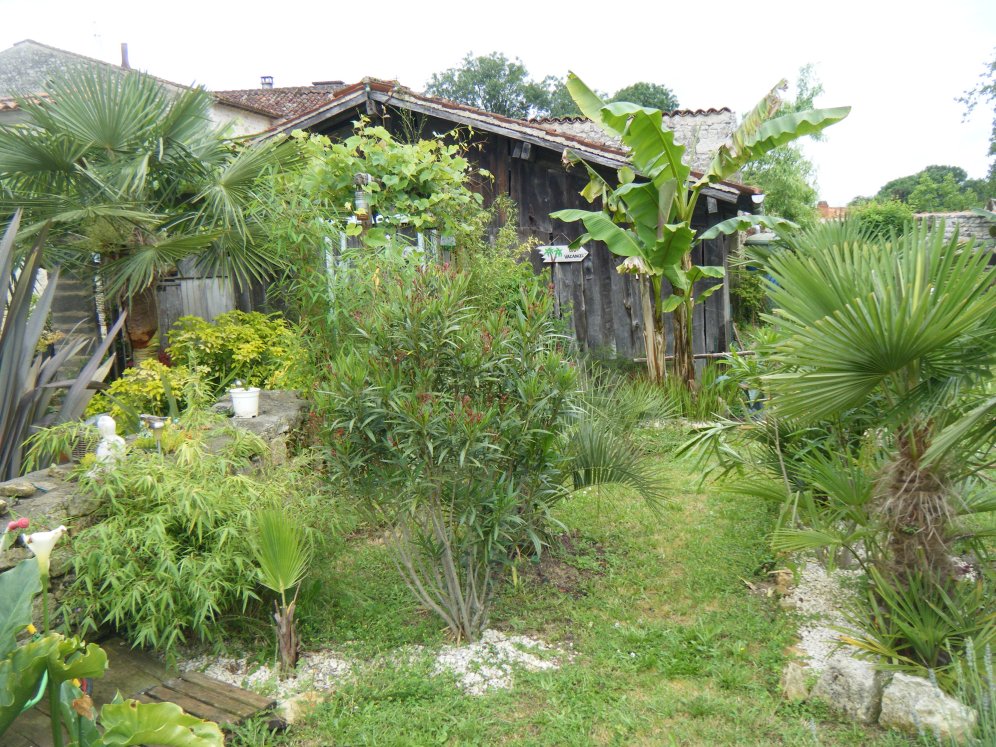 dscf4460.jpg