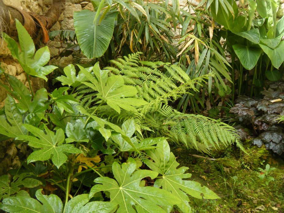 dscf4495.jpg