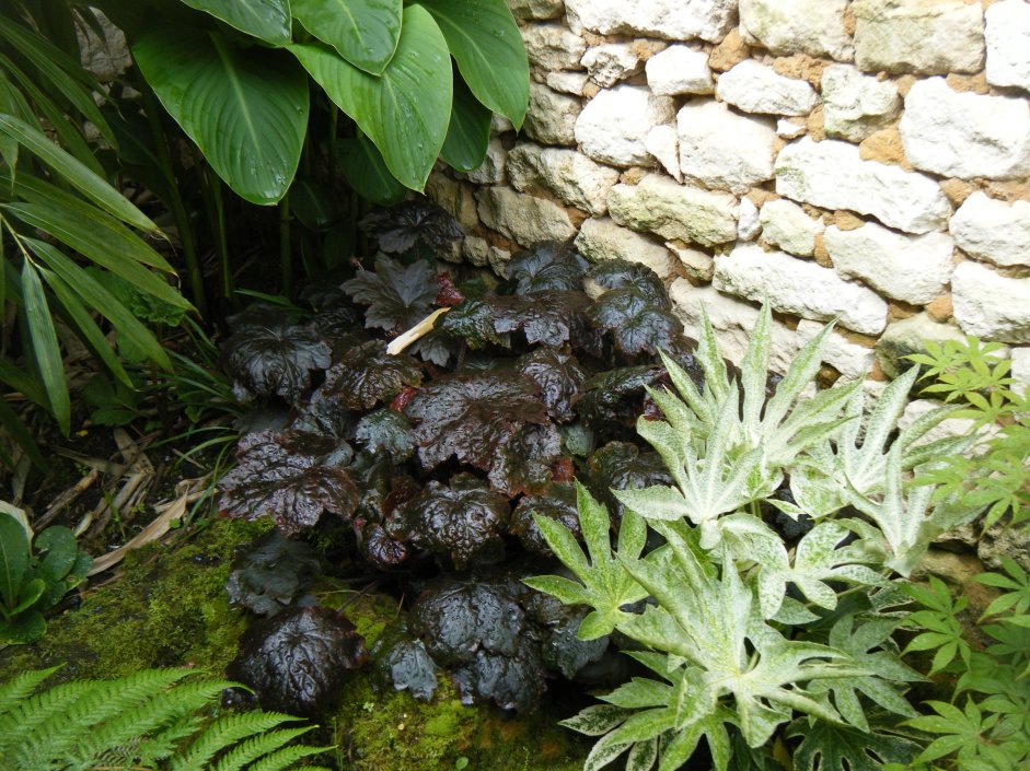 dscf4497.jpg