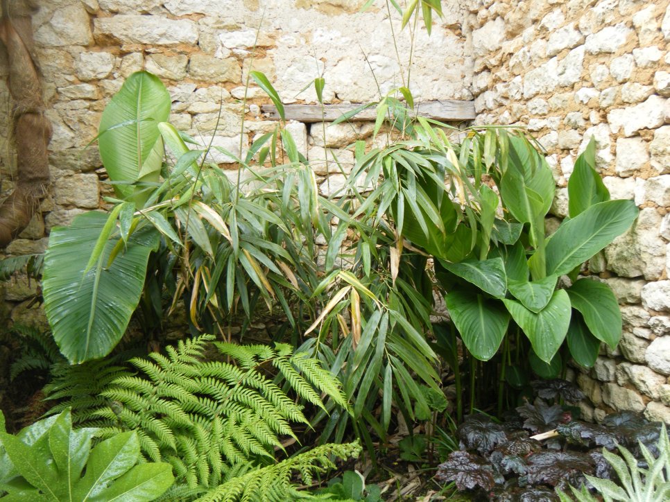 dscf4498.jpg