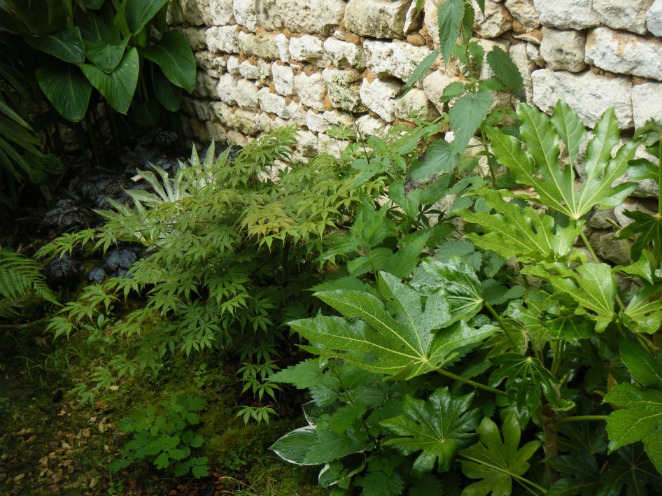 dscf4499.jpg