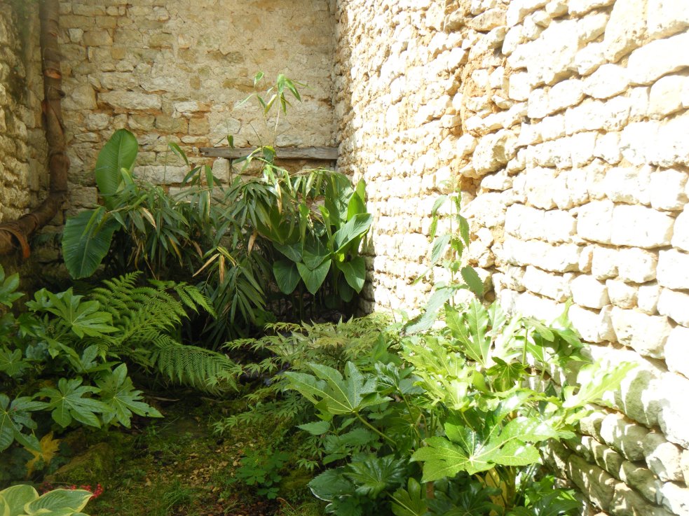 dscf4492.jpg