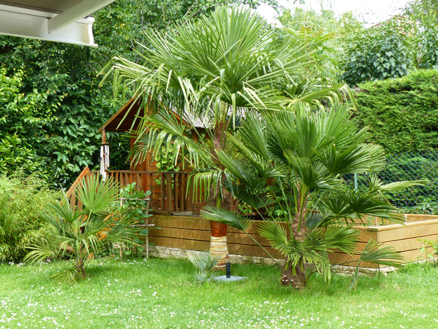 P1070288fh.jpg