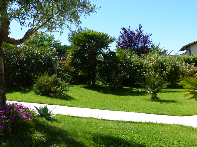 P1070439fh.jpg