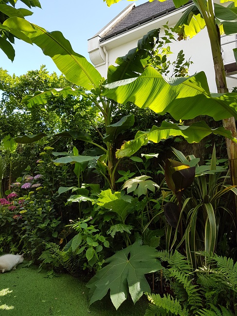 Jardin 25062016 (15).jpg