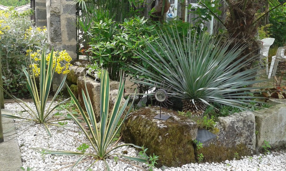 20160624_160549.jpg