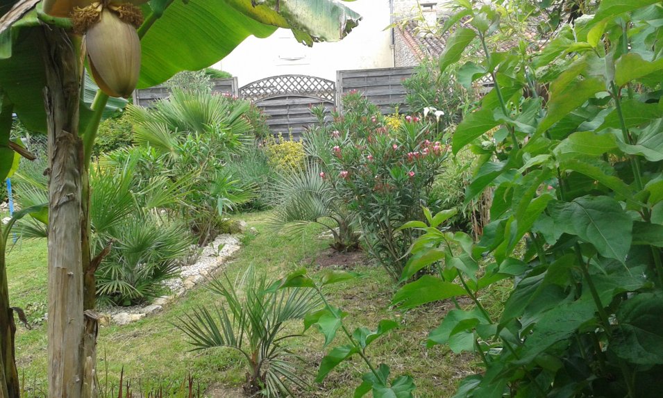20160624_162051.jpg