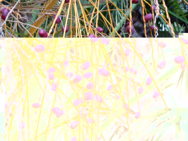 P1020800 [DVD (NTSC)].JPG