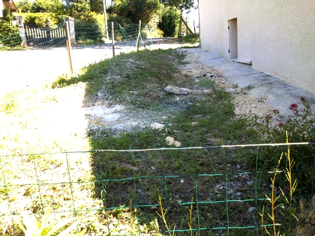 DSC_0677.jpg