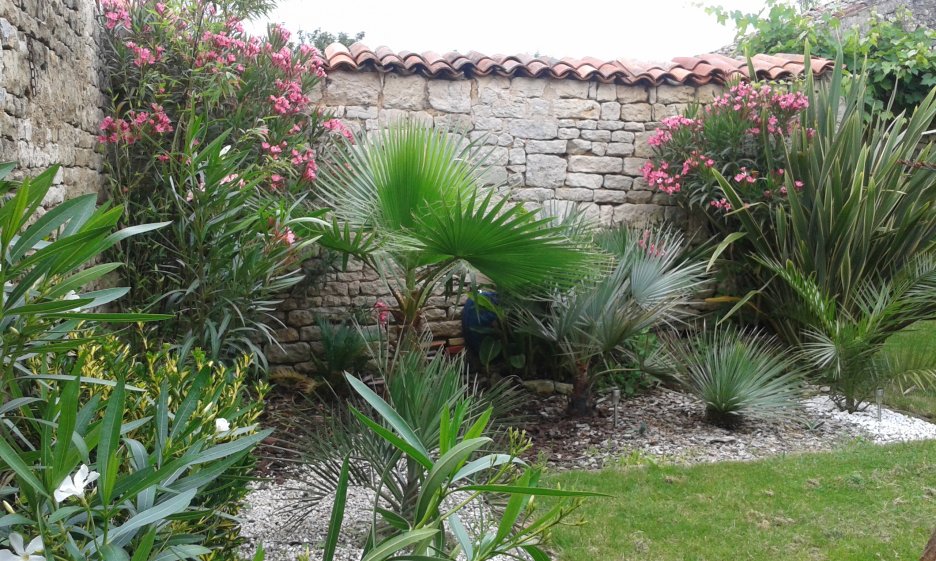 20160627_162251.jpg