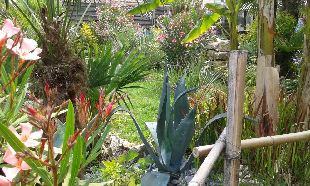 20160707_131341.jpg