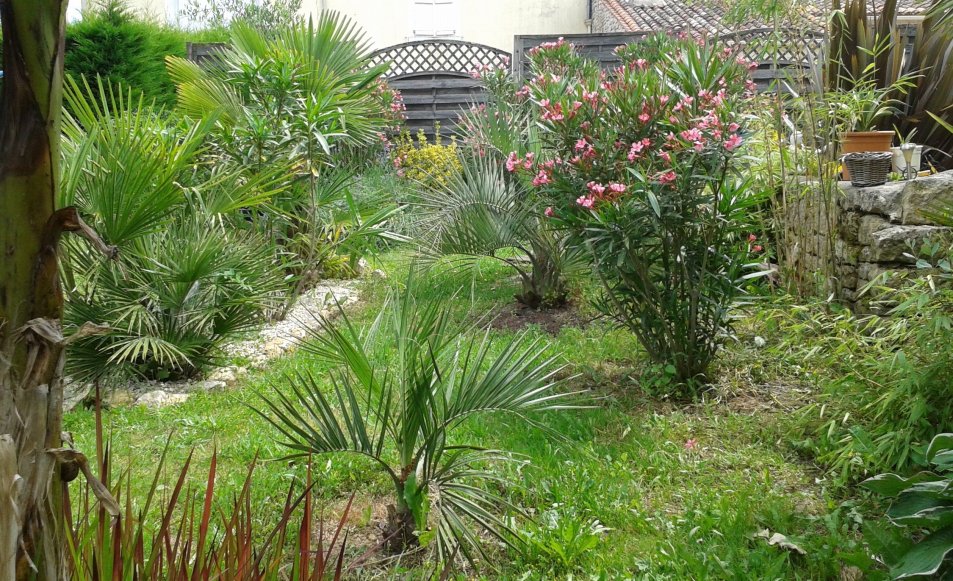 20160707_131433.jpg