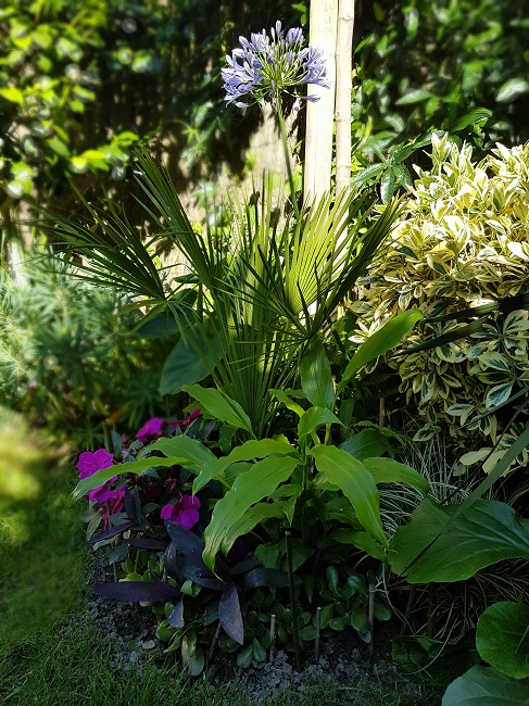 Jardin 09072016 (43).jpg
