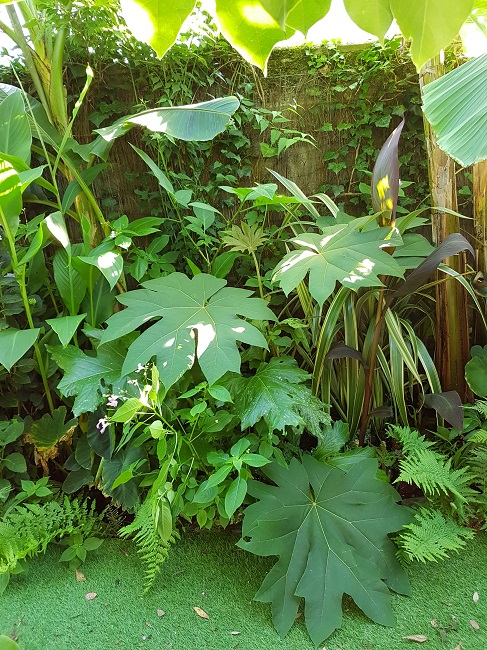 Jardin 09072016 (53).jpg