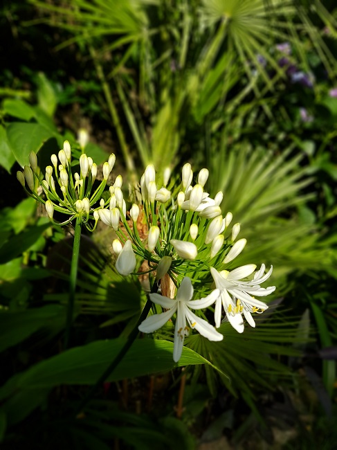 20160712_081907.jpg