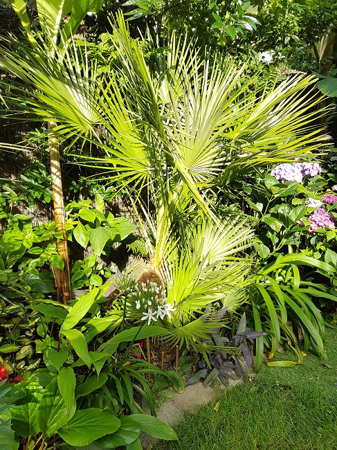 20160712_081844.jpg
