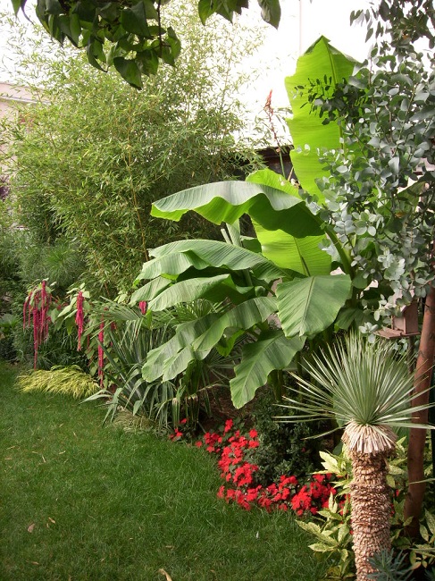 Jardin Vaucresson (10).JPG
