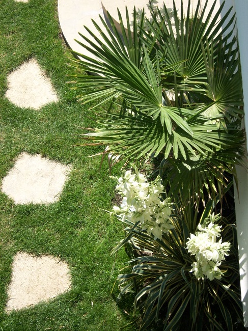 Jardin Vaucresson (9).JPG