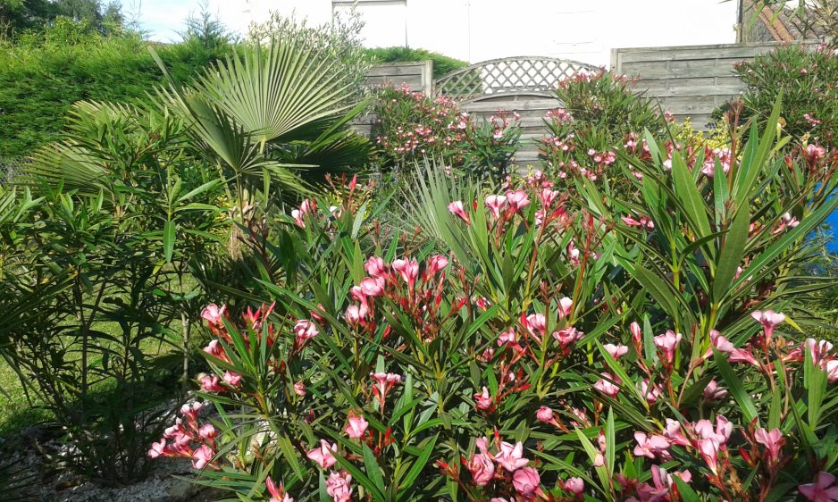 20160708_184254.jpg