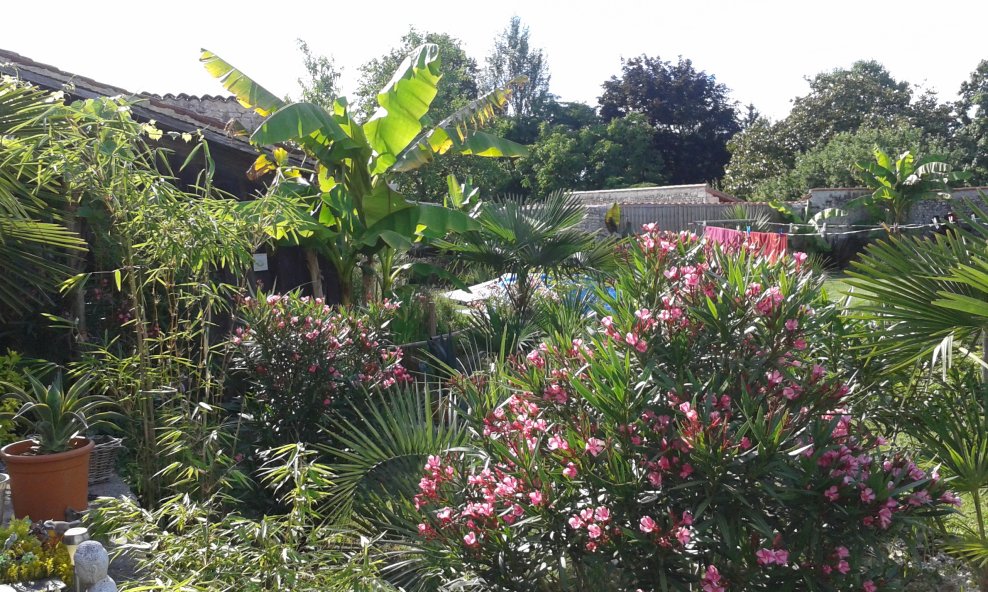 20160708_182107.jpg