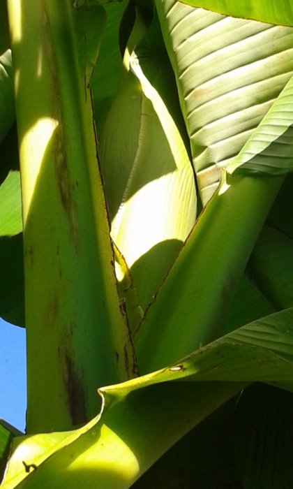 20160715_181828.jpg