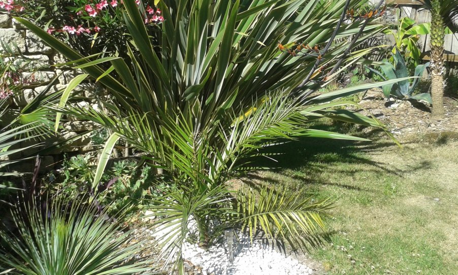 20160718_171834.jpg