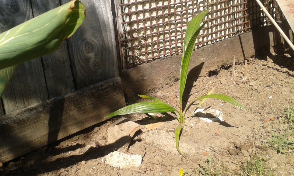 20160718_171145.jpg