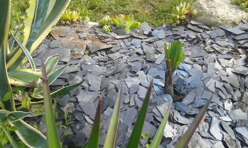 20160714_181715.jpg