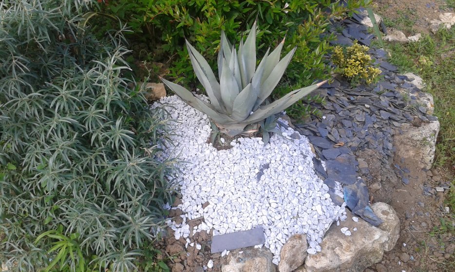 20160714_181414.jpg