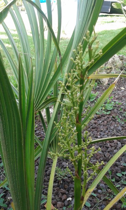 20160714_181951.jpg