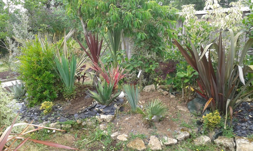 20160720_122639.jpg