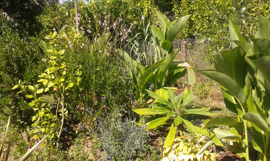 20160718_171509.jpg