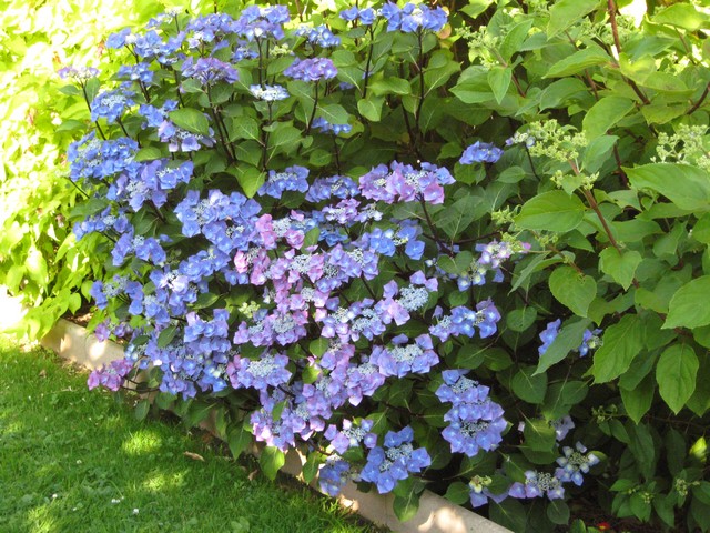 Photo 1304.jpg