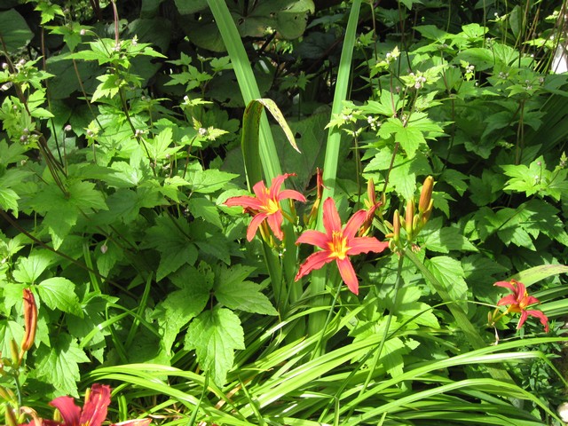 Photo 1260.jpg