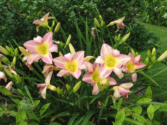 Photo 1264.jpg