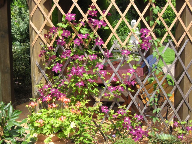 Photo 1267.jpg